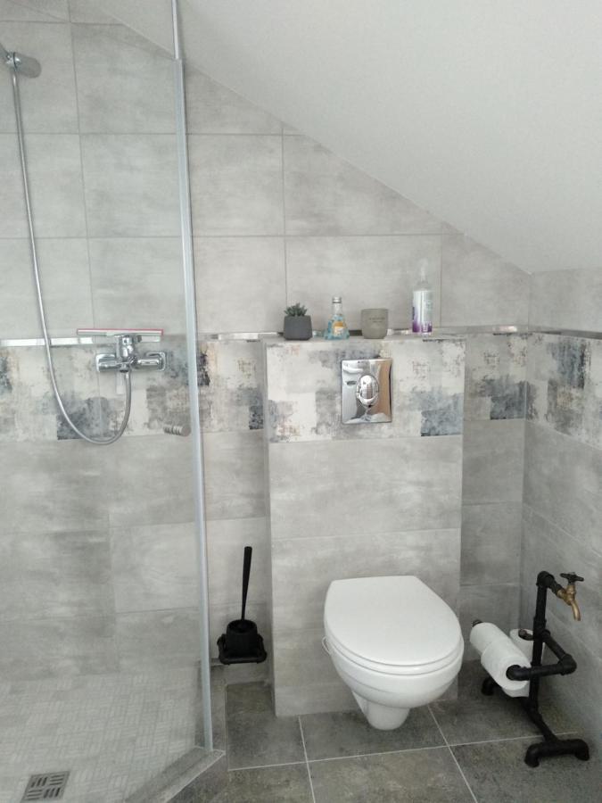 Old Town Loft Apartments Kamianets-Podilskyi Ngoại thất bức ảnh