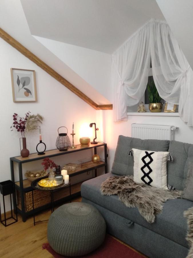 Old Town Loft Apartments Kamianets-Podilskyi Ngoại thất bức ảnh