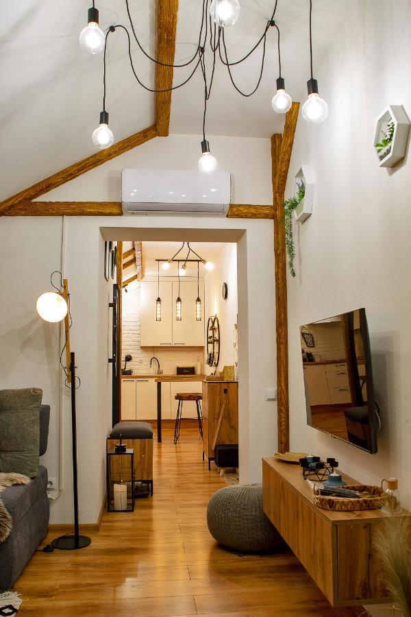 Old Town Loft Apartments Kamianets-Podilskyi Ngoại thất bức ảnh
